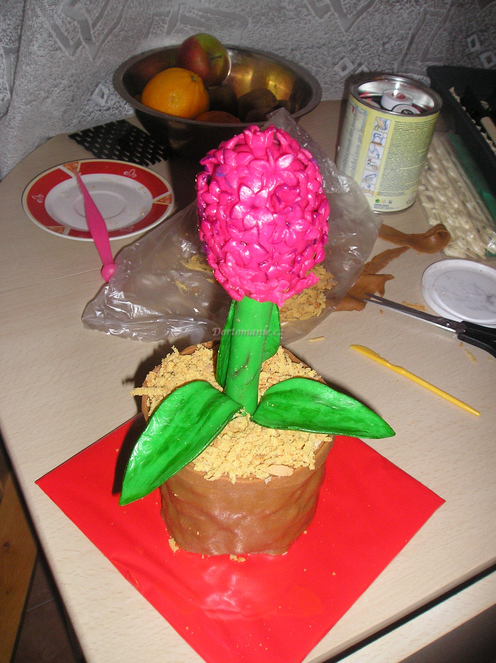 Hyacint růžový (1).jpg