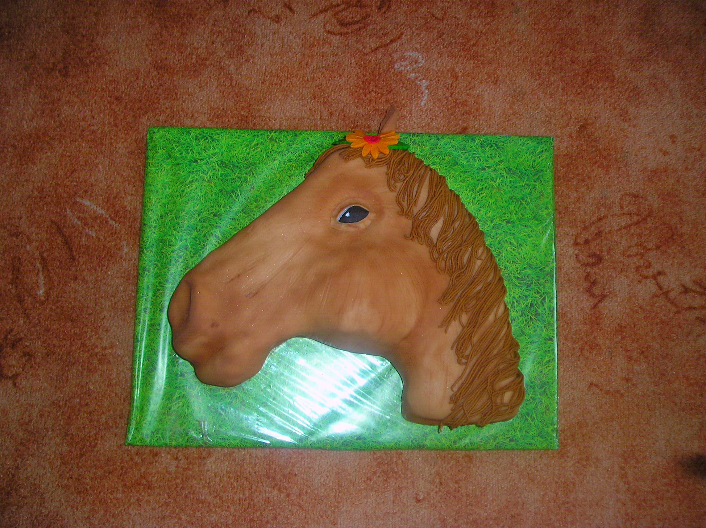 P1010507 (2).JPG