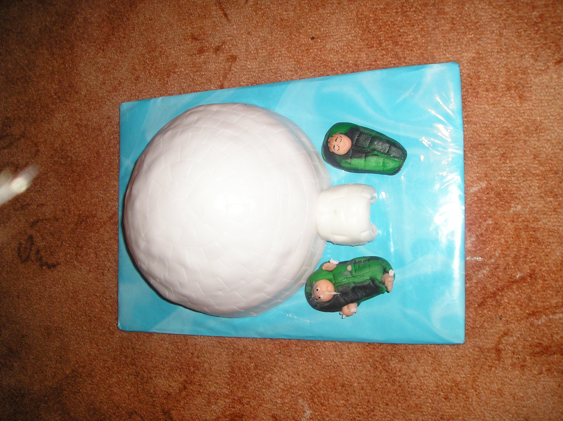 P1010356 (2).JPG